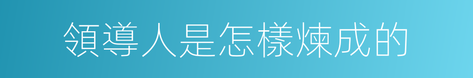 領導人是怎樣煉成的的同義詞