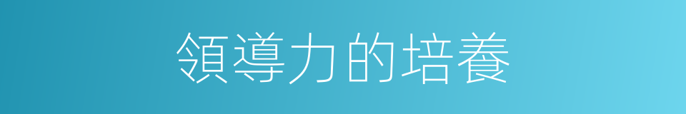 領導力的培養的同義詞