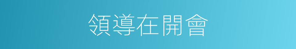 領導在開會的意思