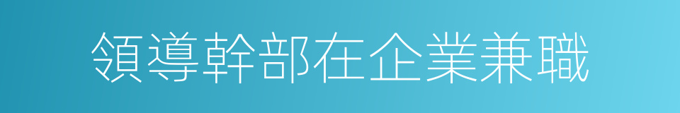 領導幹部在企業兼職的同義詞