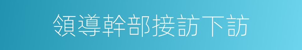 領導幹部接訪下訪的同義詞