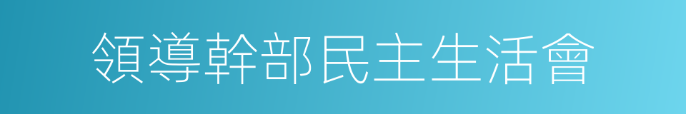 領導幹部民主生活會的同義詞