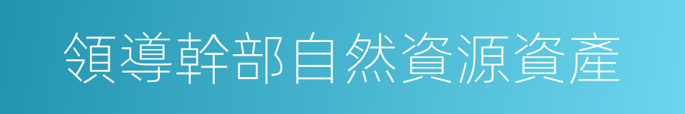 領導幹部自然資源資產的同義詞