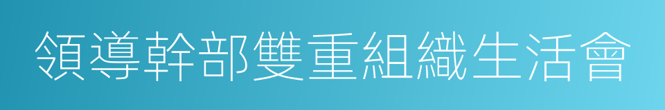 領導幹部雙重組織生活會的同義詞