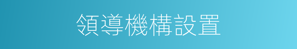 領導機構設置的同義詞