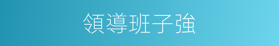 領導班子強的同義詞
