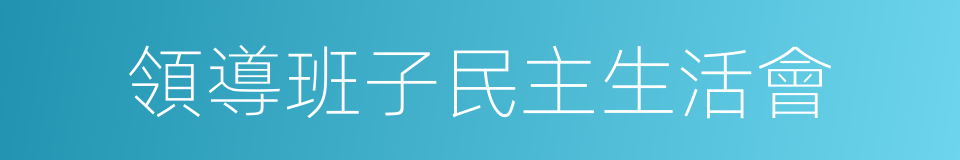 領導班子民主生活會的同義詞