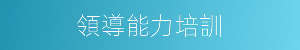 領導能力培訓的同義詞