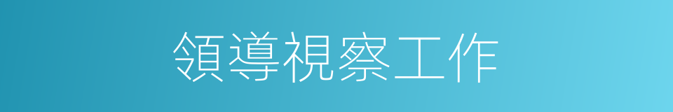 領導視察工作的同義詞