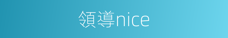 領導nice的同義詞