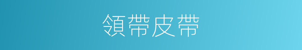 領帶皮帶的同義詞