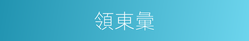領東彙的同義詞