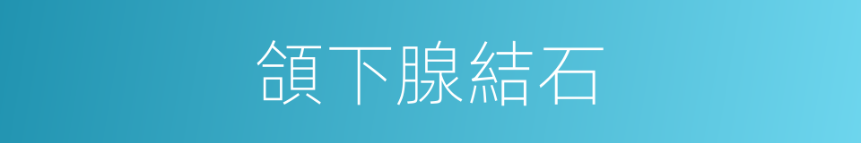頜下腺結石的同義詞
