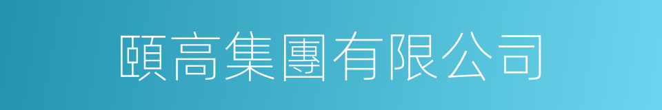 頤高集團有限公司的同義詞