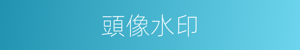 頭像水印的同義詞