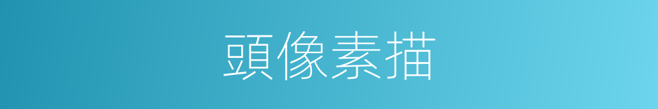 頭像素描的同義詞