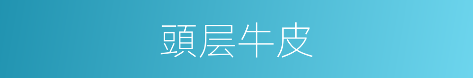 頭层牛皮的同義詞