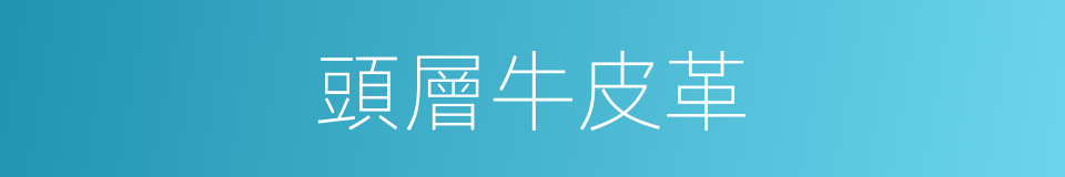 頭層牛皮革的同義詞