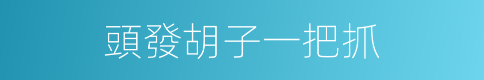 頭發胡子一把抓的意思