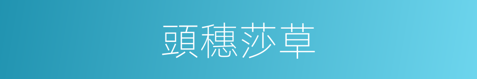 頭穗莎草的同義詞