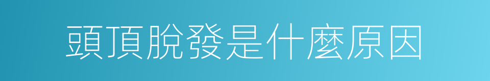 頭頂脫發是什麼原因的同義詞
