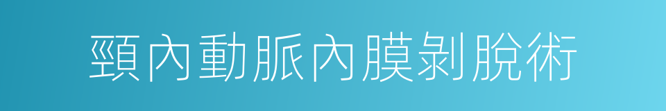 頸內動脈內膜剝脫術的同義詞