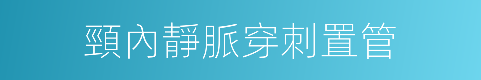 頸內靜脈穿刺置管的同義詞