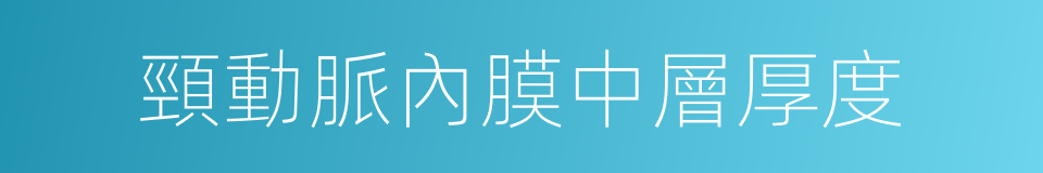頸動脈內膜中層厚度的同義詞