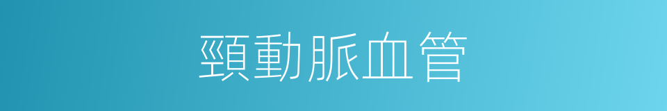 頸動脈血管的同義詞