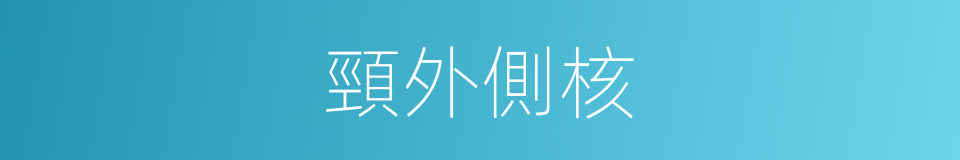 頸外側核的同義詞