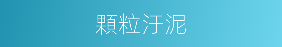 顆粒汙泥的同義詞