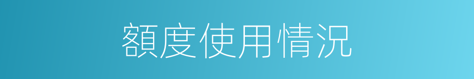 額度使用情況的同義詞