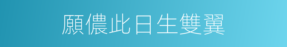 願儂此日生雙翼的同義詞