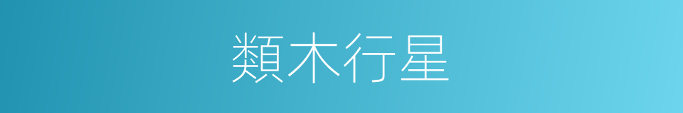 類木行星的意思