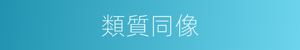 類質同像的同義詞