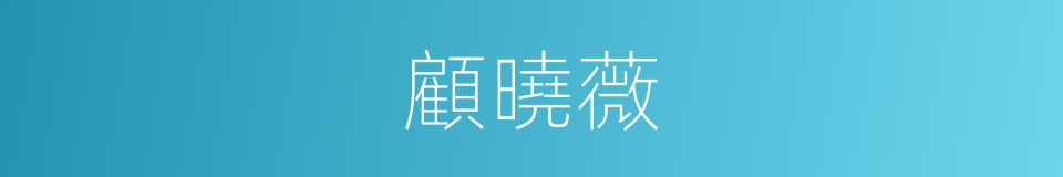顧曉薇的同義詞
