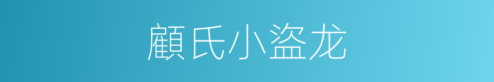 顧氏小盜龙的同義詞