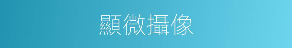 顯微攝像的同義詞
