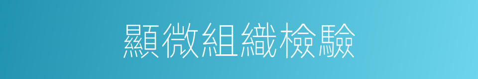 顯微組織檢驗的同義詞