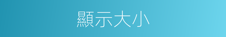 顯示大小的同義詞