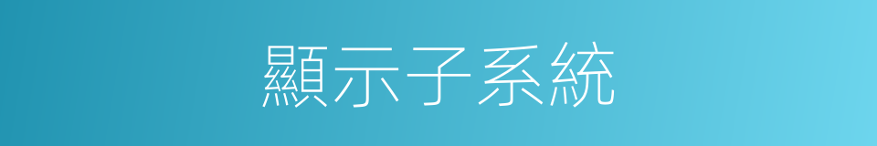 顯示子系統的同義詞