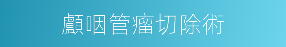 顱咽管瘤切除術的同義詞