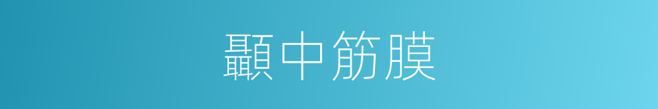 顳中筋膜的同義詞