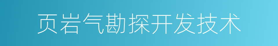 页岩气勘探开发技术的同义词