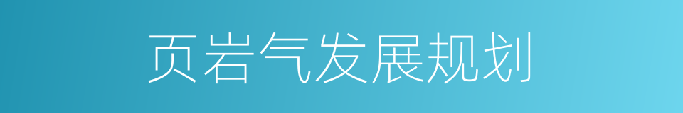 页岩气发展规划的同义词