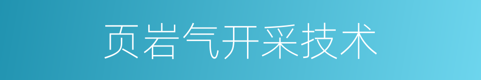 页岩气开采技术的同义词