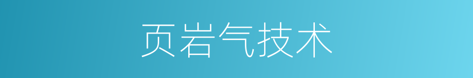 页岩气技术的同义词