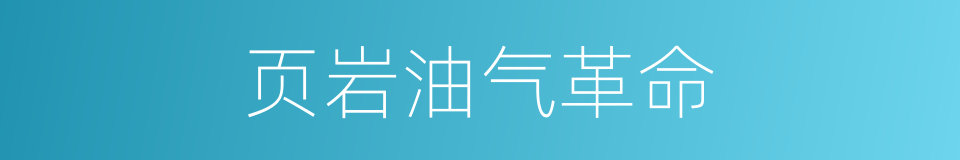 页岩油气革命的同义词