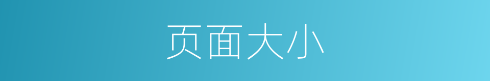 页面大小的同义词