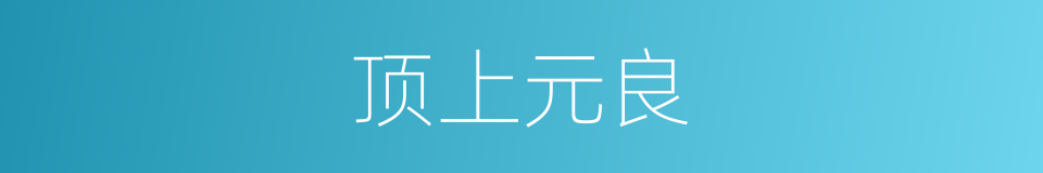 顶上元良的意思